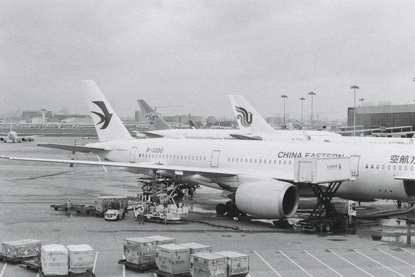 Quelle croisière propose des ateliers de fabrication de meubles en bois en Scandinavie?