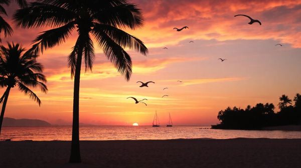 Top destinations à explorer en bord de mer en avril